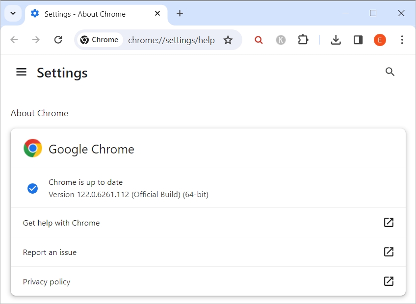 The update section of Google Chrome
